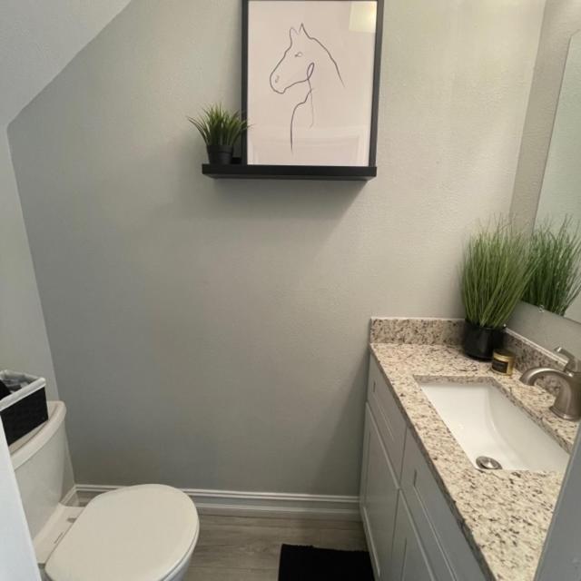 Modern Townhome Tampa Extérieur photo