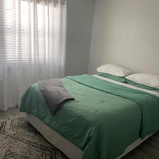 Modern Townhome Tampa Extérieur photo